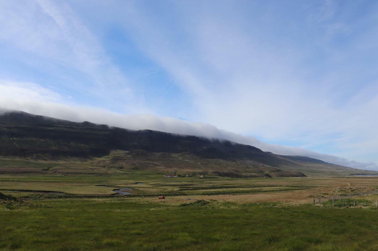 Hotel Hvitserkur Hvammstangi Bagian luar foto